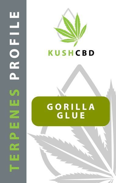 🌿 98% LIQUID дистилат H4CBD CBN CBG CBCGORILLA GLUE Полный спектр