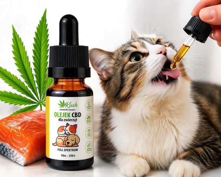 Kush CBD 10% RAW Full Spectrum CBD Oil for Dogs & Cats (1000mg CBD, 10ml)