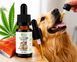 Kush CBD 10% RAW Full Spectrum CBD Oil for Dogs & Cats (1000mg CBD, 10ml)