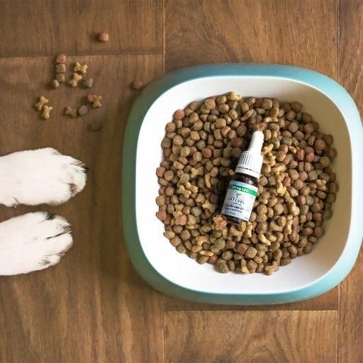 🌿 Масло КБД Sativol CBD oil для животных 6% Full Spectrum Польша