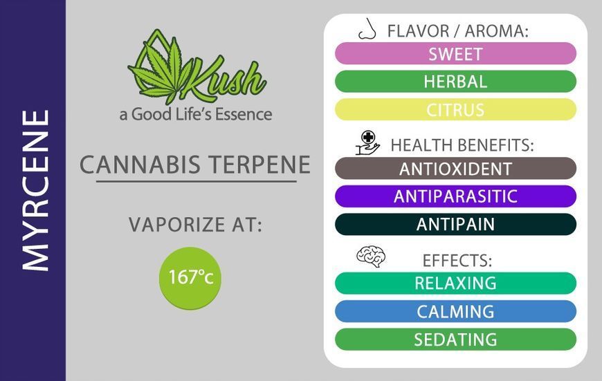 🌿 Натуральные конопляные терпены Myrcene (1 мл) &ndash; глубокое расслабление и терапевтический эффект ✨